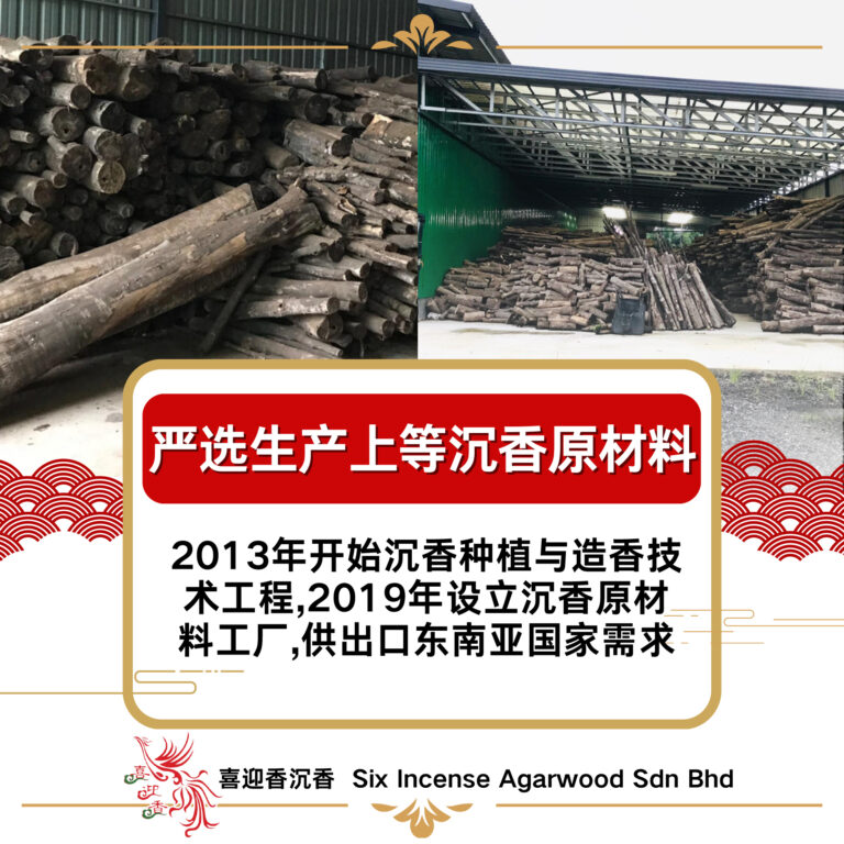 488209274_1248079130653627_8352848611637757414_n