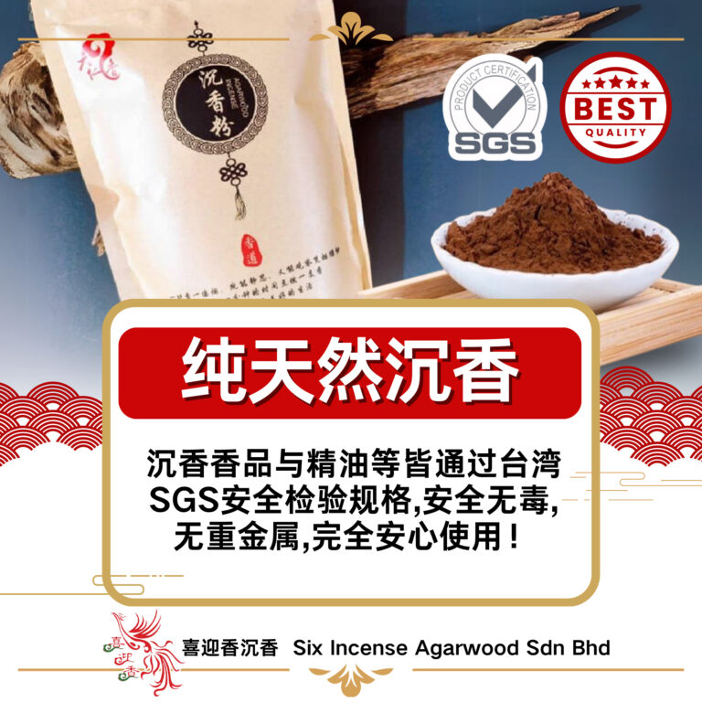 488619103_1248079390653601_2572338636995676194_n