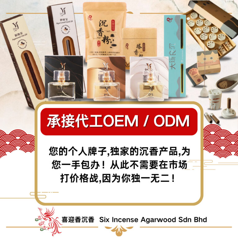 488640099_1248079393986934_510515829841193571_n