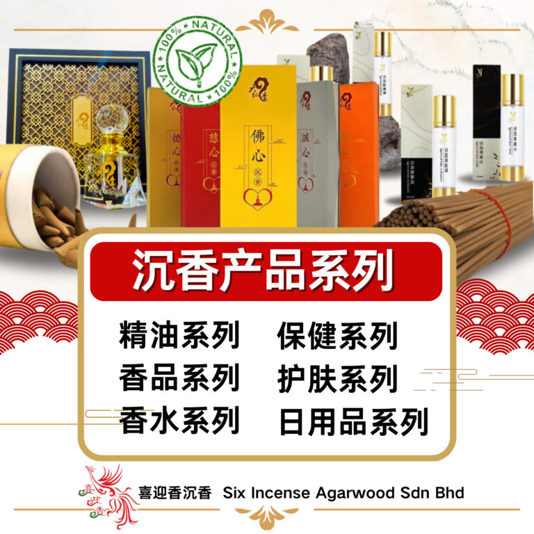 489024630_1248079397320267_4602007131474801699_n