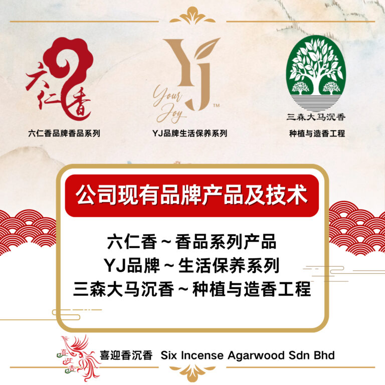 489025779_1248079140653626_89614762173855256_n