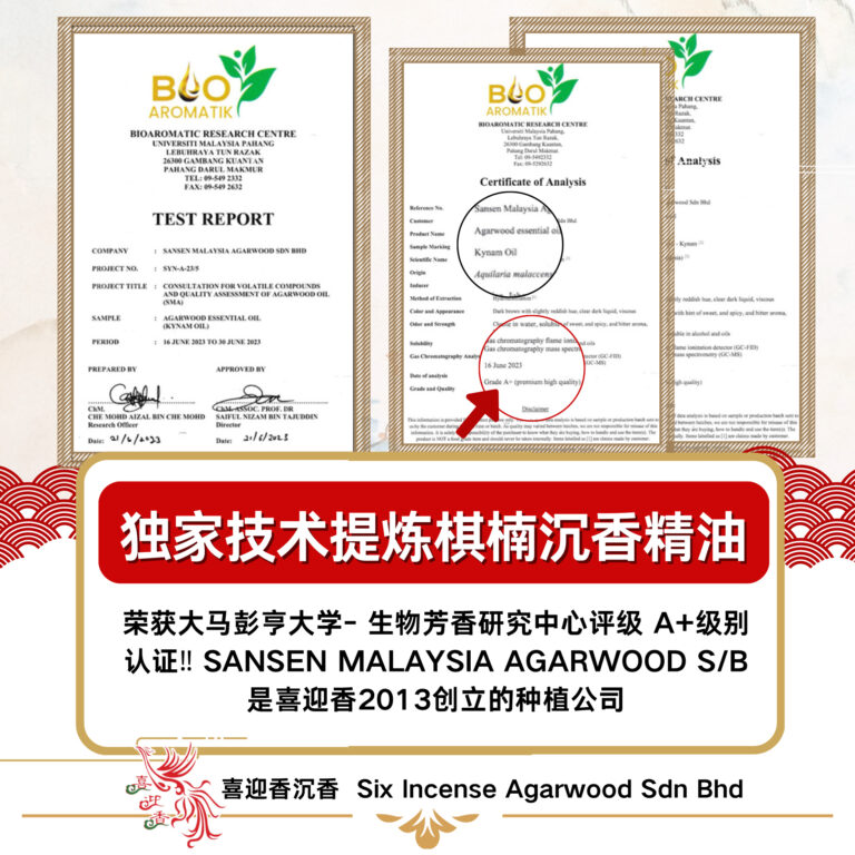 489026651_1248079137320293_8080199994202507408_n