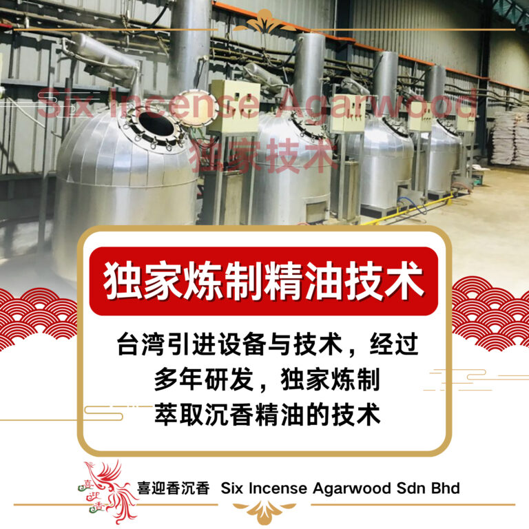 489027055_1248079350653605_8428671413823942672_n