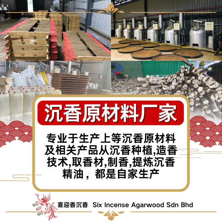 489031473_1248079127320294_7097442770500350501_n