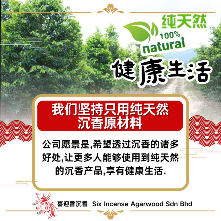 489340795_1248079143986959_1829912677911030827_n